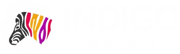 Indigo – Be Surprised