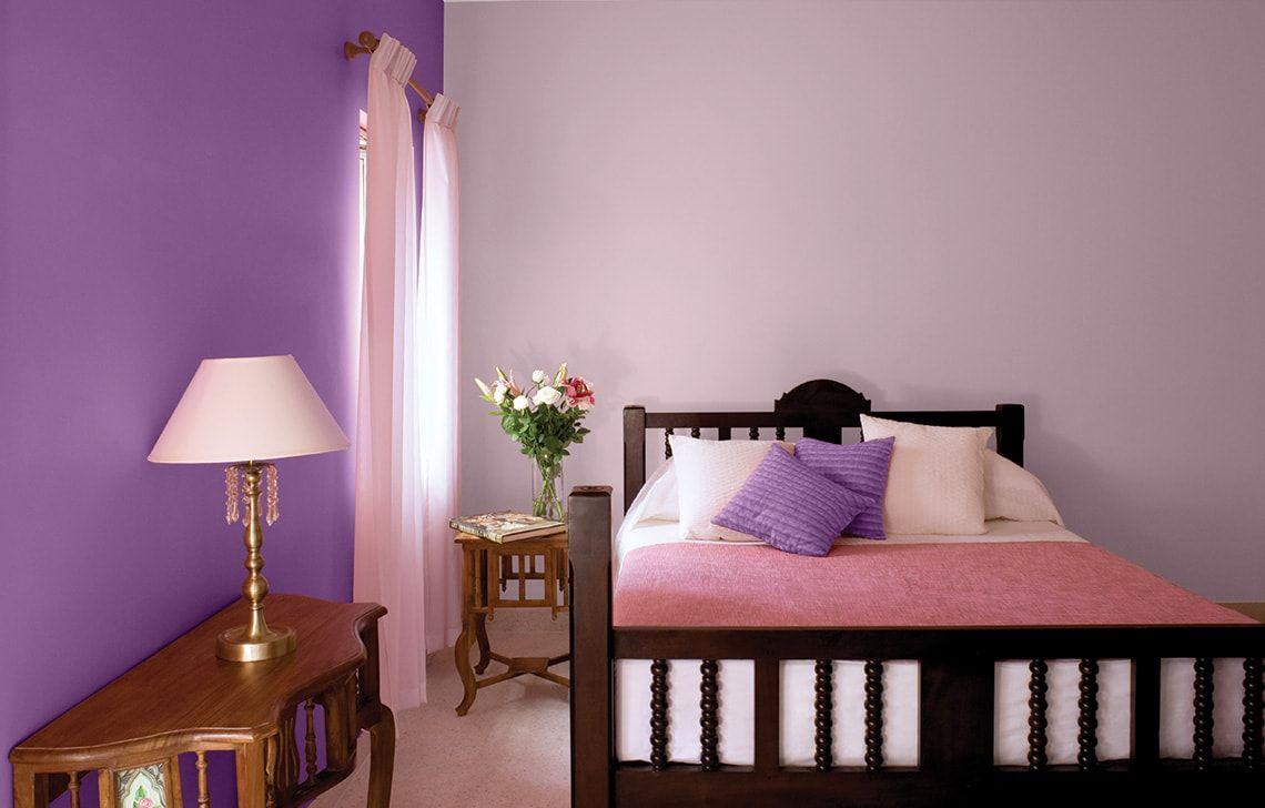 Lavender Wall Colour