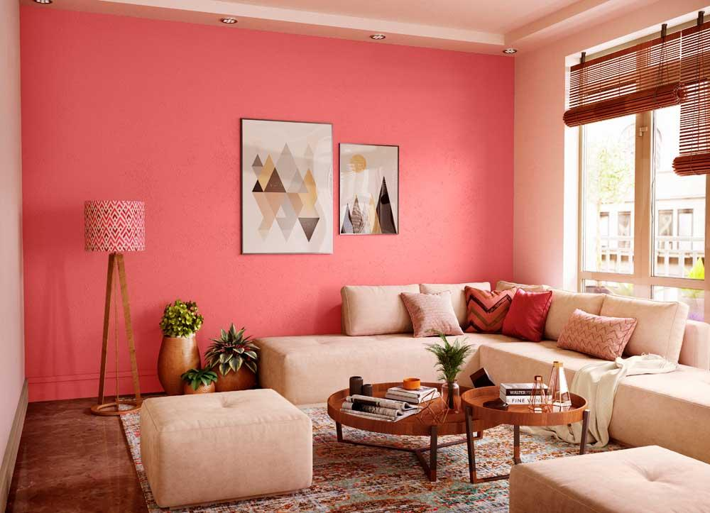 Coral Wall Paint
